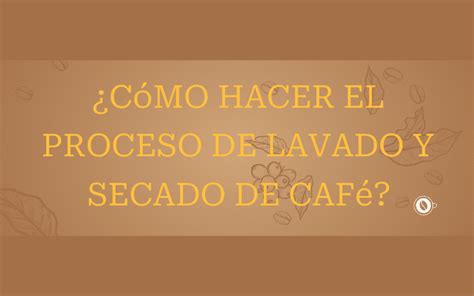 Cómo hacer el proceso de lavado y secado de café Un cafe diferente