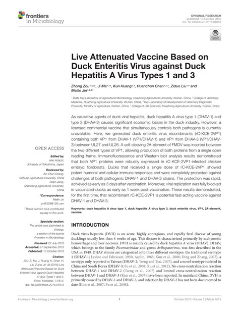 (PDF) Live Attenuated Vaccine Based on Duck Enteritis Virus against Duck Hepatitis A Virus Types ...