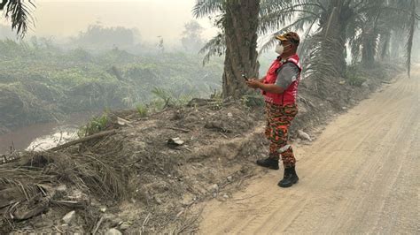 Kebakaran Tanah Gambut Dan Hutan Meningkat Semua Agensi Di Miri Diarah