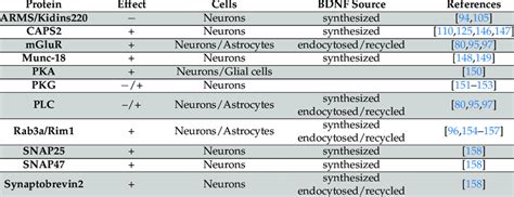 Proteins involved in BDNF secretion. | Download Scientific Diagram 
