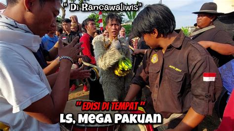 Edisi Di Tempat Ls Kuda Lumping Mega Pakuan Di Rancawaliwis