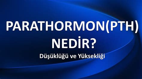 PARATHORMON NEDİR YouTube