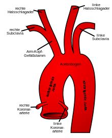 Physiologie Kreislauf Gefäßsystem Karteikarten Quizlet