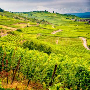 Viaggio Borgogna Alsazia E La Strada Dei Vini Boscolo