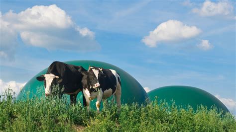 O QUE E BIOGAS Portalresiduossolidos