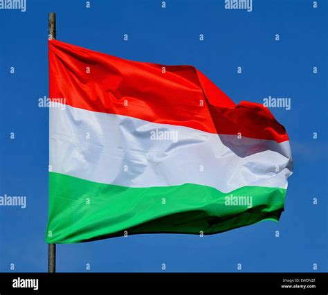 Hungarian Flag Hungary Stock Photo Alamy