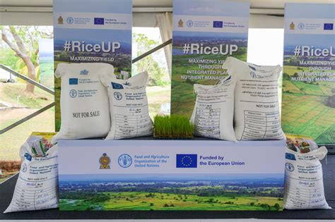 Sri Lanka paddy farmers gets modern techniques in EU-FAO project ...