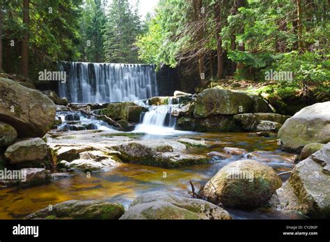 Waterfall on small stream in forest Stock Photo - Alamy