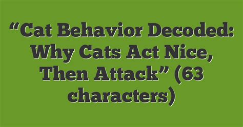 Cat Behavior Decoded Why Cats Act Nice Then Attack 63 Characters