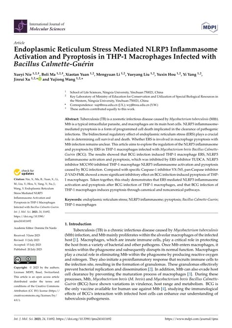 Pdf Endoplasmic Reticulum Stress Mediated Nlrp Inflammasome