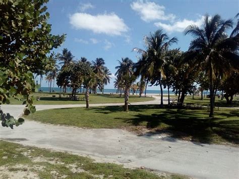 Crandon Park Beach Key Biscayne 2019 All You Need To Know Before