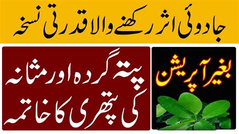 Pittay Ki Pathri Ka Ilaj Kidney Stone Treatment Pathar Chat