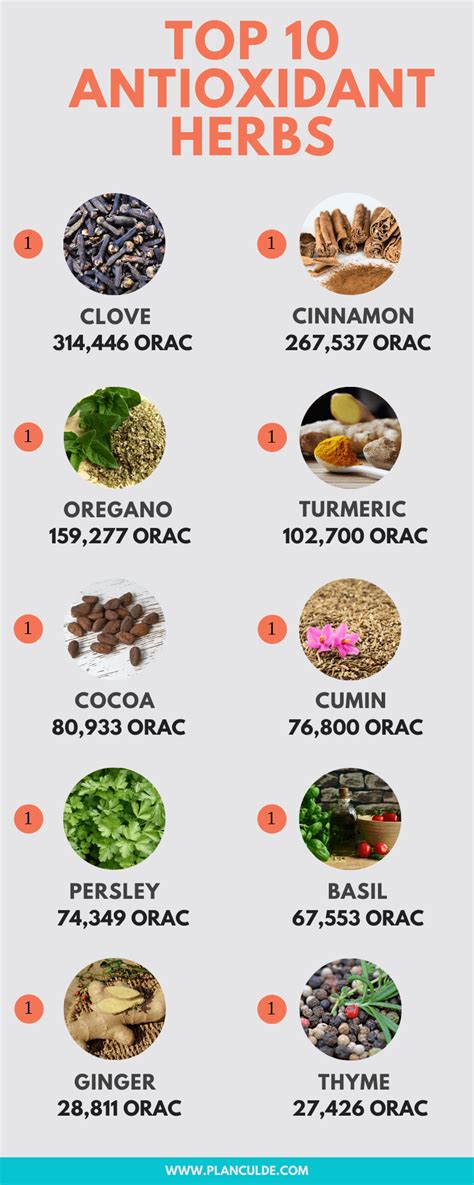 Top 10 Antioxidants Foods