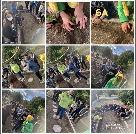 Planting Spinach Escola Guillem Fortuny