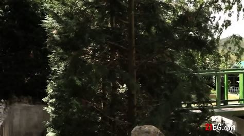 Two Girls Love That Outdoor Sex