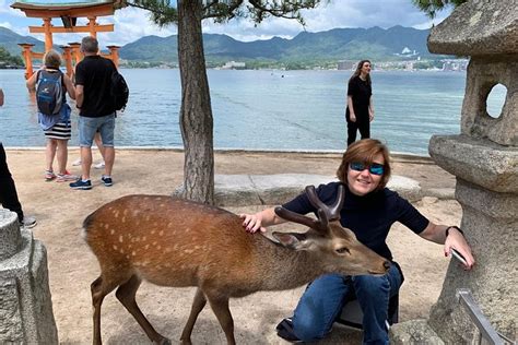 Miyajima Half Day Private Tour With Government Licensed Guide