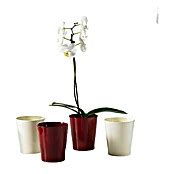 Soendgen Keramik Orchideentopf Merina Außenmaß Ø x H 13 x 15 cm