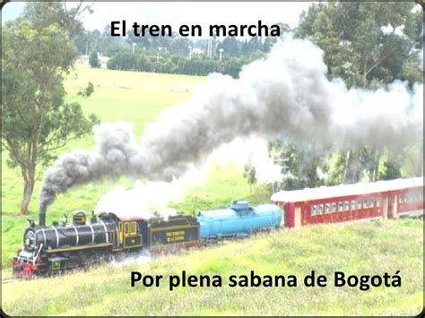 Tren de la sabana