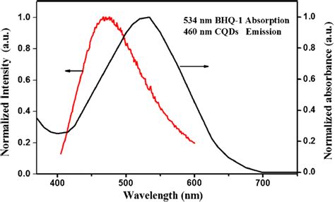 Spectral Overlap Between Fret Donor Acceptor Pair Emission Spectrum Of