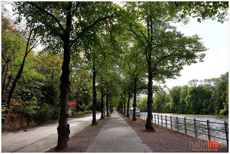 Am Riveufer Nachrichten Aus Halle An Der Saale Und Der Region