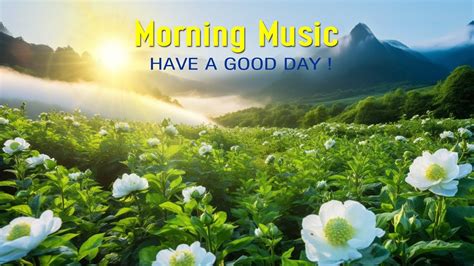 The Best Good Morning Music Positive Feelings And Energy Morning