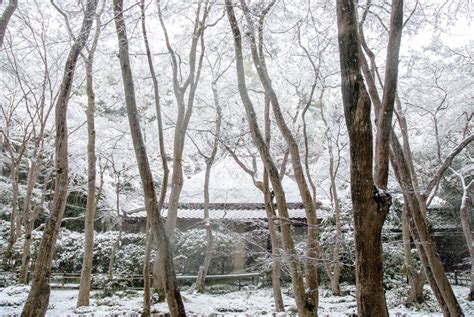 祇王寺雪景色 at 祇王寺の四季