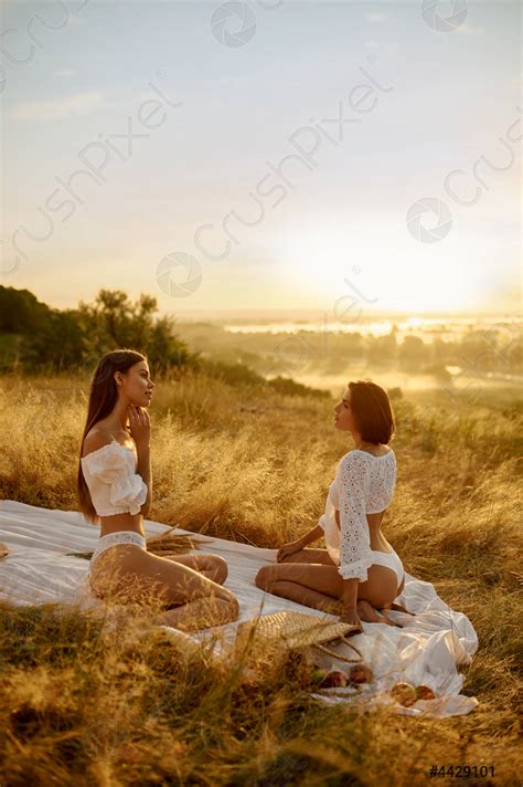 Two Sexy Women In Lingerie On Blanket In The Field Stock Photo 4429101 Crushpixel