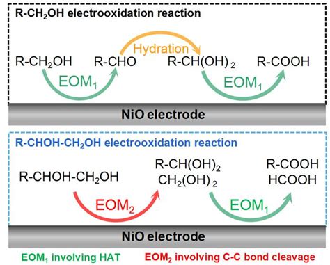 Schematic Diagram Illustrating [image] Eurekalert Science News Releases