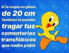 34 ideas de Piolín grosero alv en 2022 frases piolín piolin memes