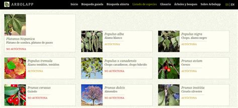 Arbolapp La Aplicaci N Para Identificar Rboles Lanza Su Web Y A Ade