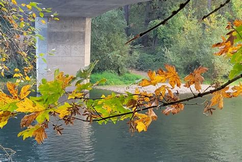 Willamette River Water Trail Oregon American Trails