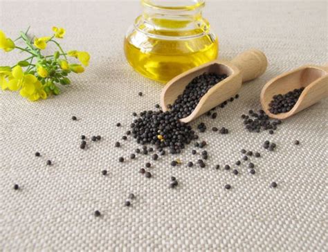 Canola Oil Alinta Foods