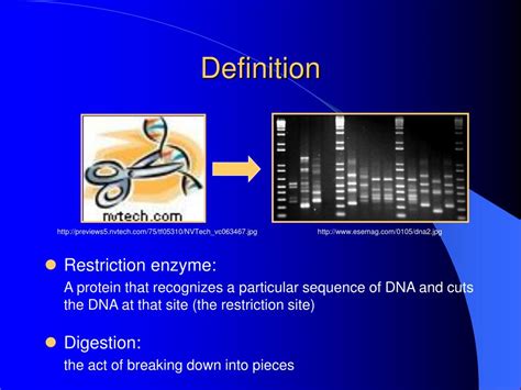 PPT - Restriction Enzyme Digestion PowerPoint Presentation, free ...