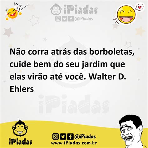 Não Corra Atrás Das Borboletas Cuide Do Seu Jardim - Não corra atrás das borboletas, cuide bem do seu jardim que elas virão ...