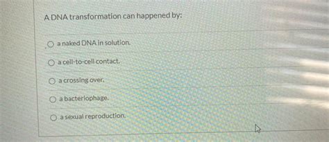 Solved A DNA Transformation Can Happened By O A Naked DNA Chegg