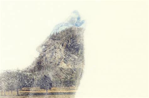 Double Exposure - Animals on Behance | Double exposure, Exposure, Animals