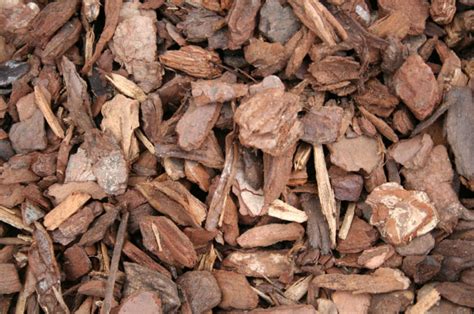 Decorative Bark Pine Bark Chips Madingley Mulch