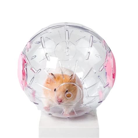 Hamster Running In Ball