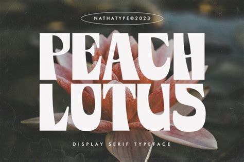 Peach Lotus Display Serif Font Natha Studio