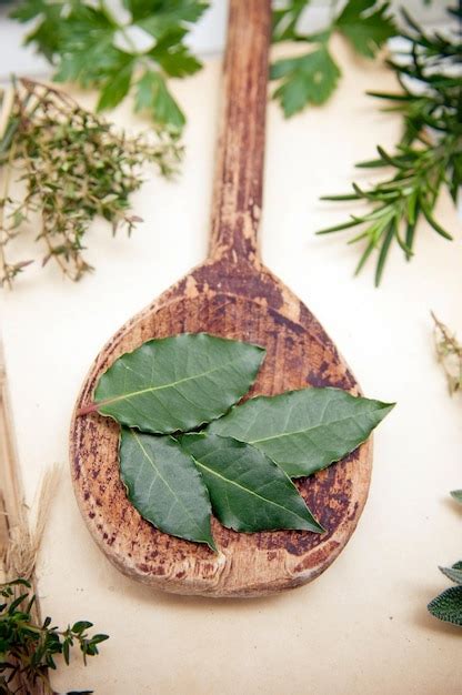 Premium Photo Fresh Bay Leaves