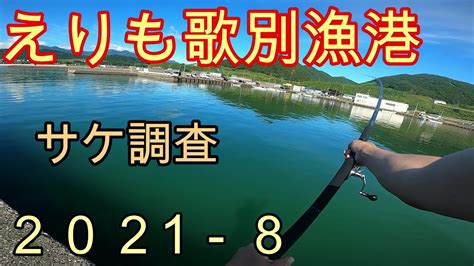 【鮭釣り】えりも歌別漁港でサケ調査！鮭いるかな？ Youtube