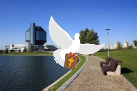 Отделы ЗАГС города Минска: адреса, контакты, режим работы