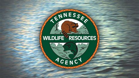 Twra Investigating Watercraft Collision On Kentucky Lake Wbbj Tv