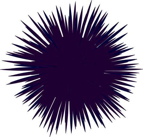 Sea Urchin Clipart Design Graphic By MyBeautifulFiles Creative Clip