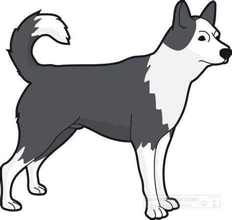 Gray White Husky Dog Clipart Classroom Clipart