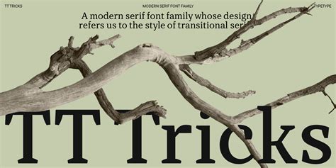 Шрифты - каталог шрифтов TypeType