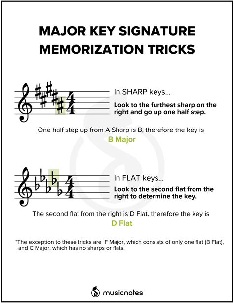 Essential Music Theory Guides With Free Printables Music Theory Piano Music Theory Lessons