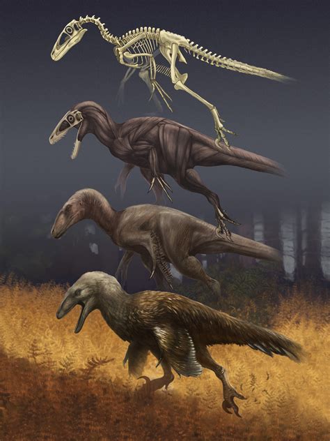 ArtStation - Four Layers of Deinonychus