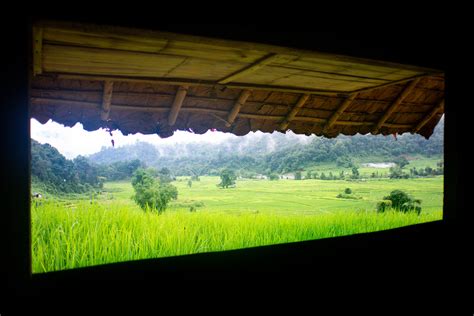 8 Tips for Beautiful Landscape Photography in the Rain