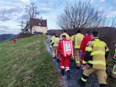 Einsatz Nr 11 31 01 2024 16 24 Uhr Schloss Wolfurt Tragehilfe